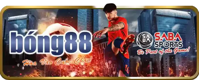 Nền tảng cá cược an toàn 6ff6